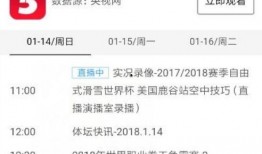 cctv4在线直播观看手机,实时掌握全球资讯，畅享多元文化盛宴