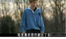 王子夫妇爆料视频,揭秘幕后真相与甜蜜瞬间