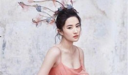 媒体爆料刘亦菲事件视频,真相与争议并存