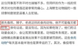 广东工人爆料事件视频,揭露背后真相与争议