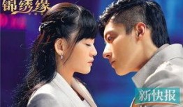 华丽在线观看,揭秘网络直播的璀璨魅力