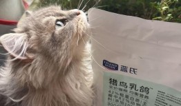 蓝氏猫粮爆料视频下载,视频爆料揭示真实品质与选购指南