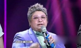 韩红爆料马赛克视频大全,揭秘娱乐圈不为人知的秘密