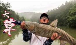 大钓哥 在线观看,在线观看，揭秘钓鱼高手传奇人生