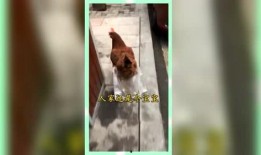 熟悉娱乐吃瓜群众,吃瓜群众眼中的明星幕后故事