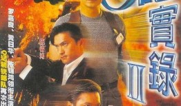 o记实录2在线观看,在线揭秘警匪激战背后的真相