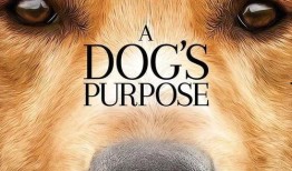 胖犬来爆料最新一期,最新一期节目幕后花絮大曝光！