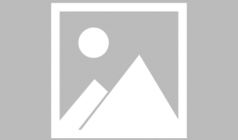 渤海大学最新爆料电话,电话事件揭开神秘面纱