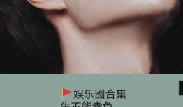 娱乐圈小说推文爆料冲击,爆红背后的秘密与冲击