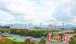 塘厦电子厂爆料最新消息,揭秘行业动态与内部秘密