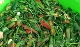 爆料咸菜制作视频,传统工艺与现代创新的完美融合