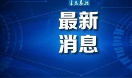 大连半岛晨报新闻爆料,真相揭秘，引发社会关注