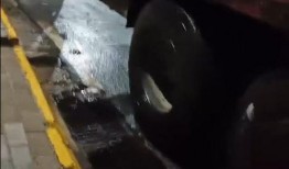 礼泉县爆料新闻,揭秘背后真相，社会关注焦点聚焦