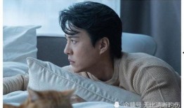 靳东底线爆料视频播放,揭秘娱乐圈不为人知的真相