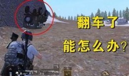 吃瓜翻车合集免费观看下载,免费观看下载，笑料百出，揭秘娱乐圈幕后真相