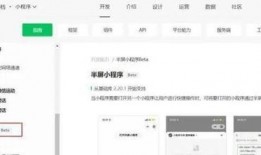 小程序最新爆料点是什么,颠覆性功能即将上线！