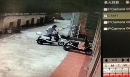 老油条爆料的视频大全,视频大全背后的惊人真相